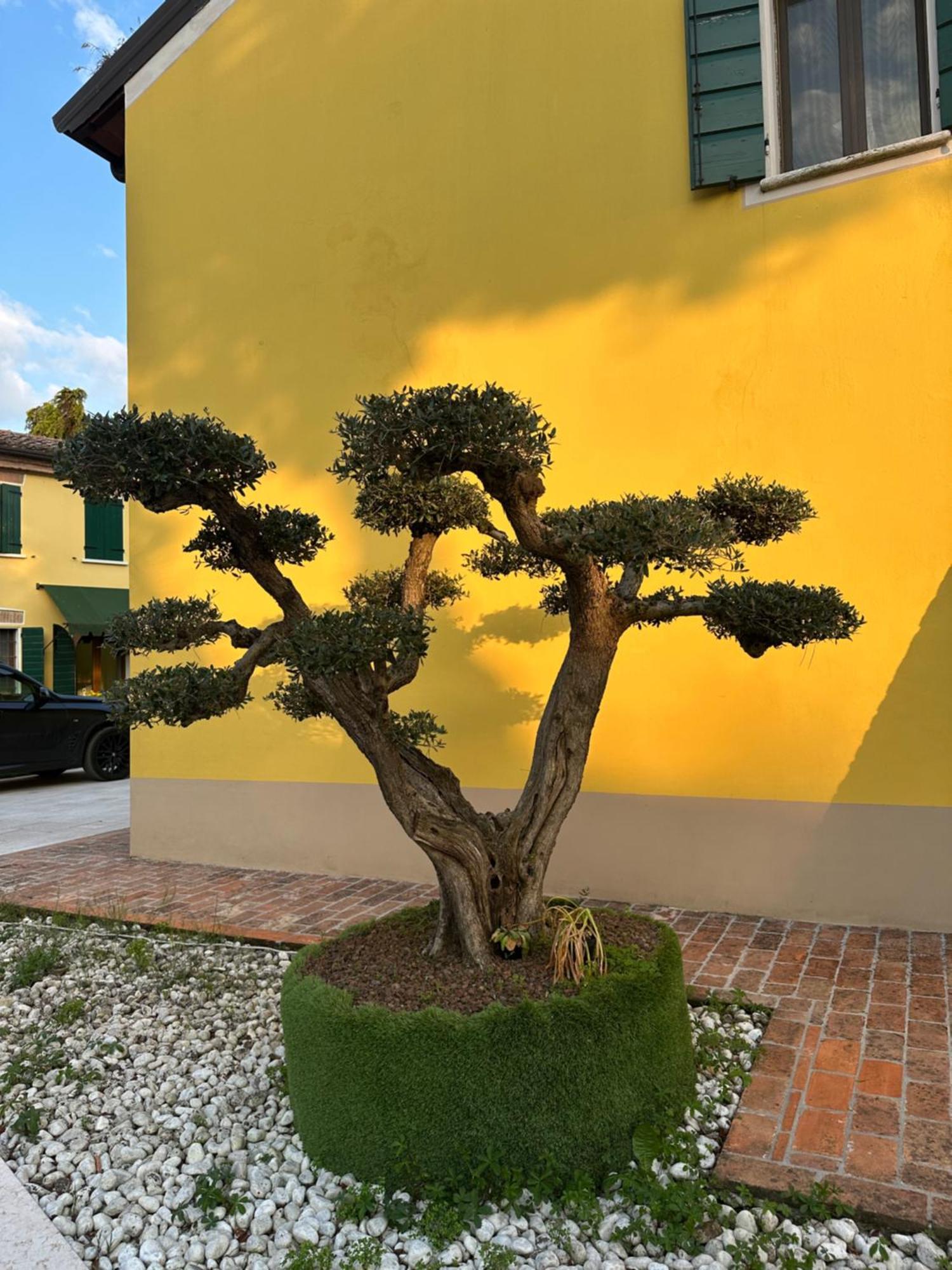 Agriturismo Corte Capiluppia Curtatone المظهر الخارجي الصورة
