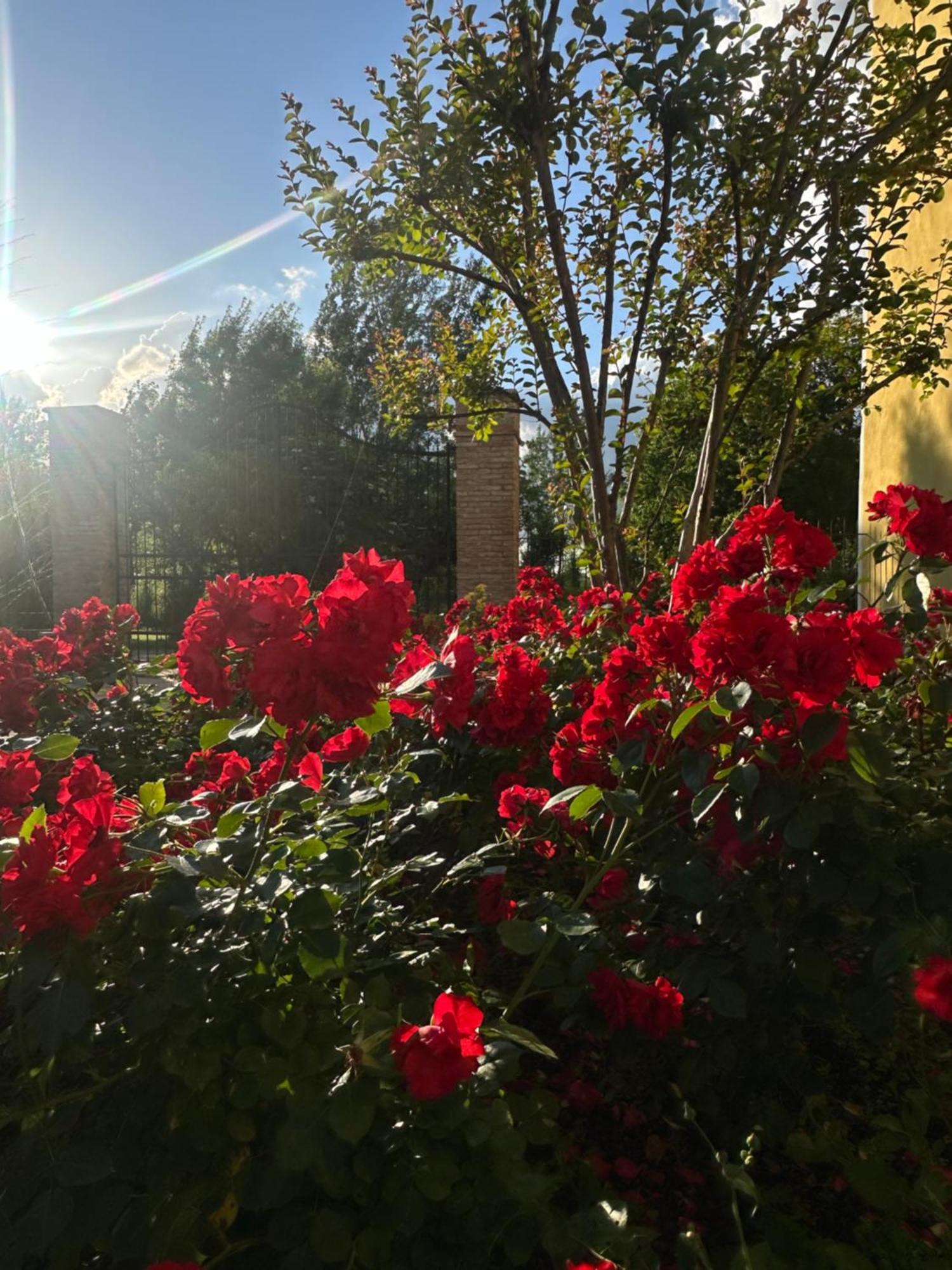 Agriturismo Corte Capiluppia Curtatone المظهر الخارجي الصورة