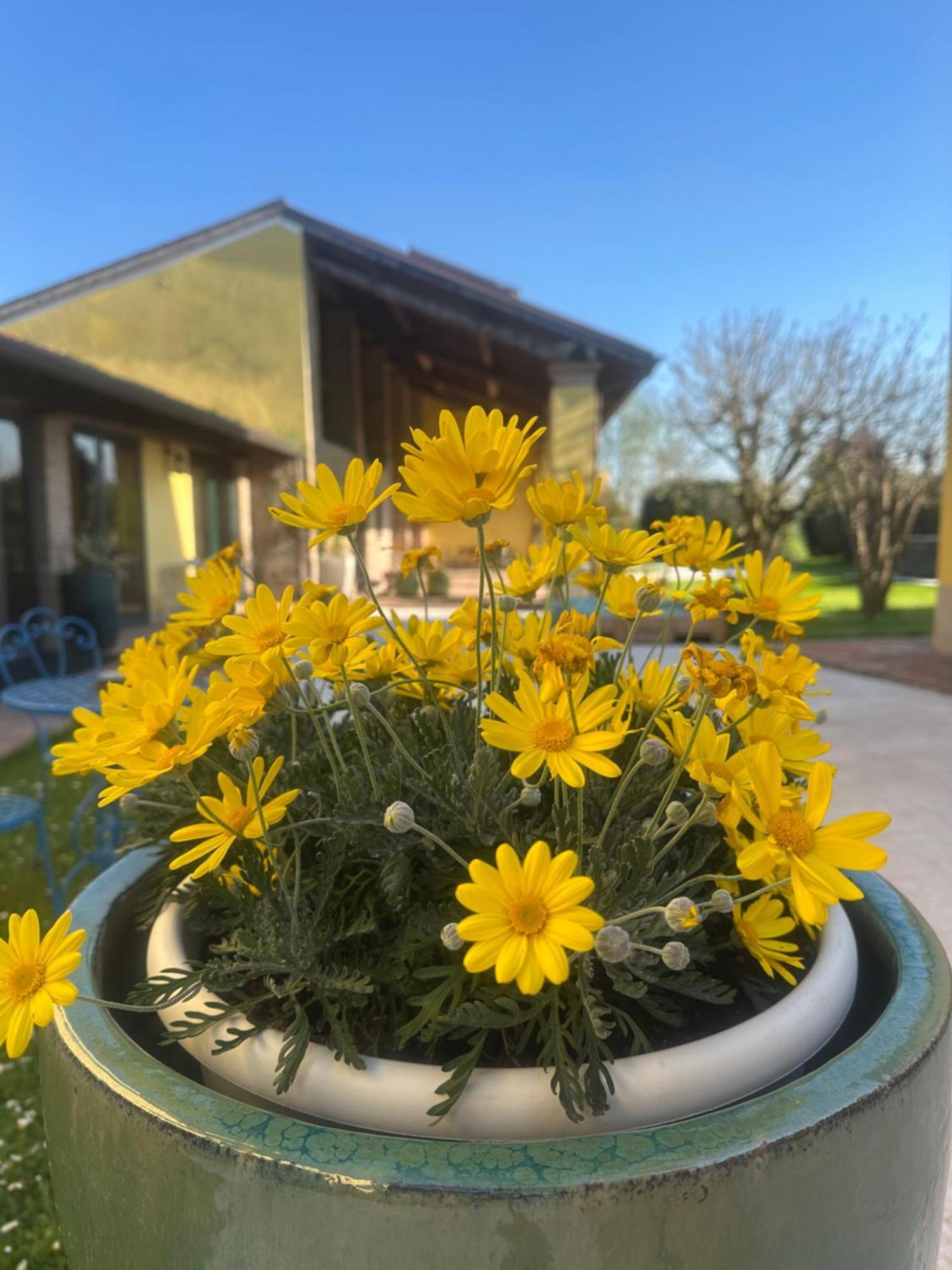 Agriturismo Corte Capiluppia Curtatone المظهر الخارجي الصورة